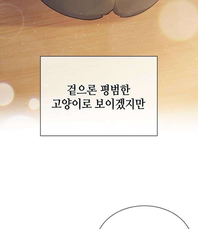고양이 키스 프롤로그 6