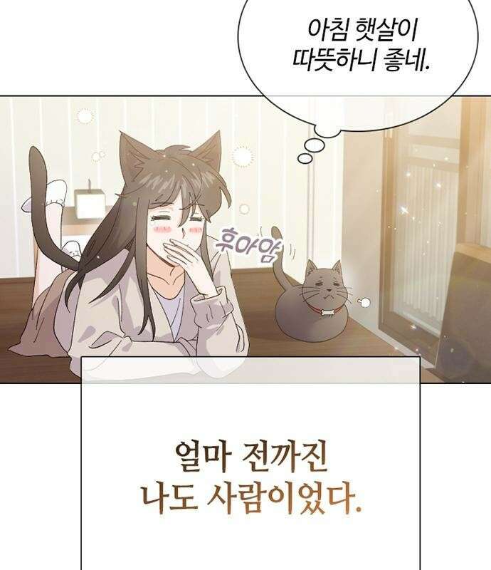 고양이 키스 프롤로그 7