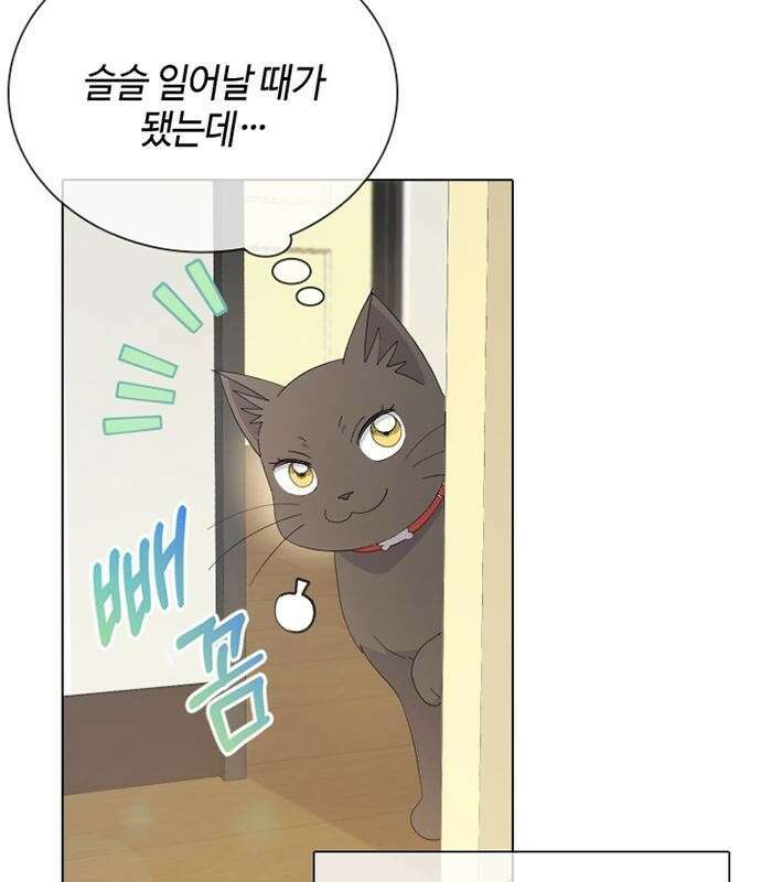 고양이 키스 프롤로그 10