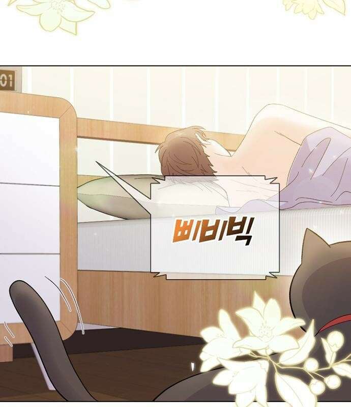 고양이 키스 프롤로그 12