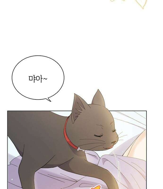 고양이 키스 프롤로그 13
