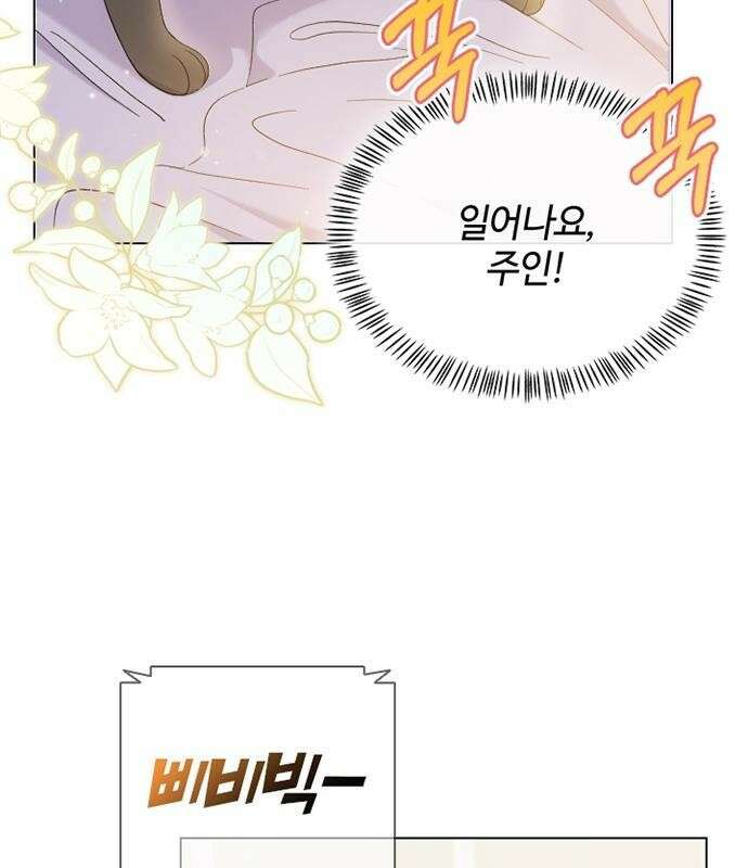 고양이 키스 프롤로그 14