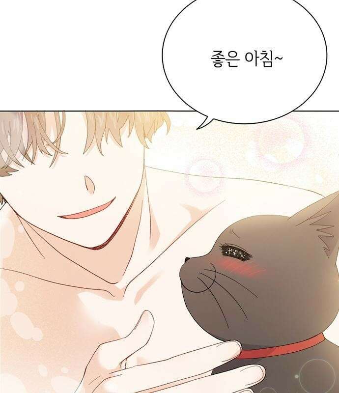 고양이 키스 프롤로그 20