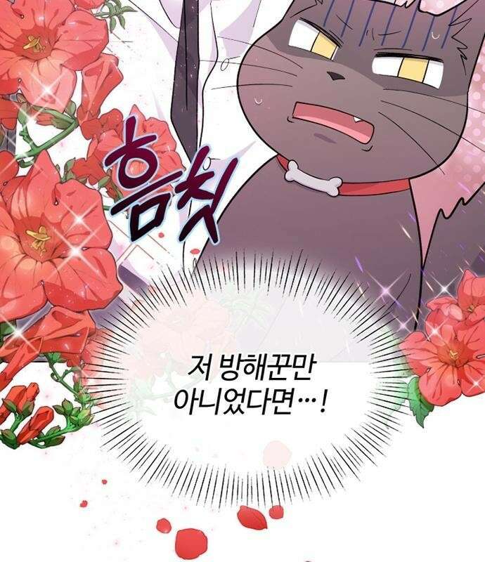 고양이 키스 프롤로그 29