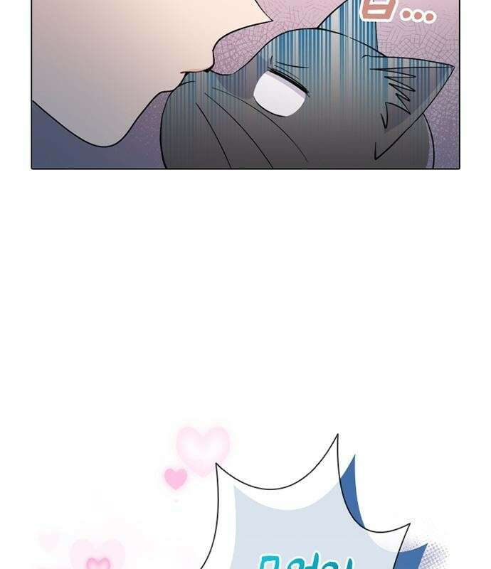 고양이 키스 프롤로그 42