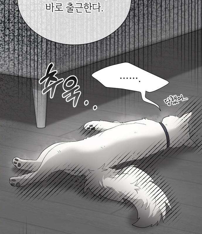 고양이 키스 프롤로그 47