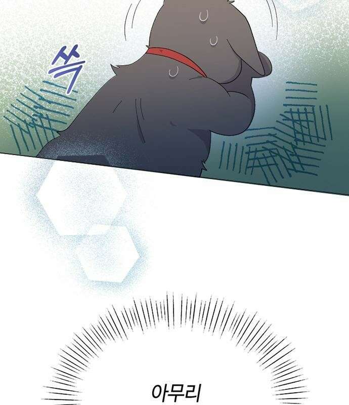 고양이 키스 프롤로그 50