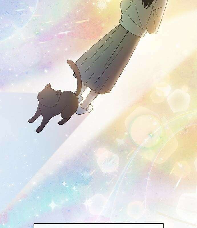 고양이 키스 프롤로그 55