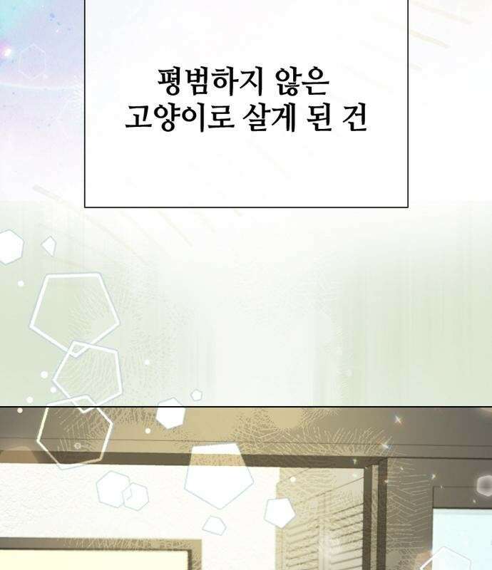 고양이 키스 프롤로그 56