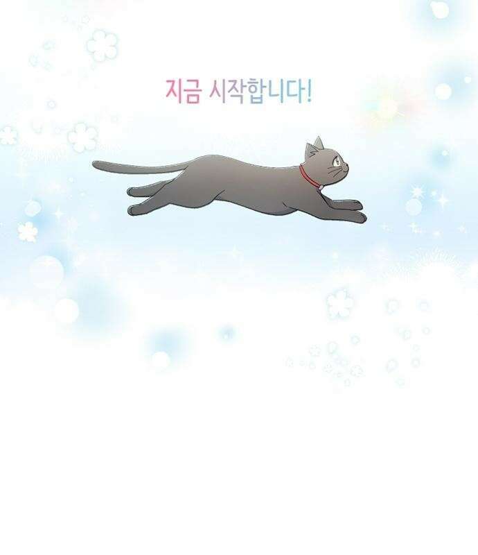 고양이 키스 프롤로그 61