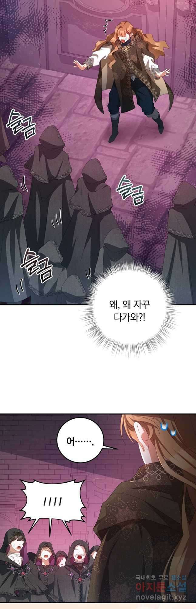 남주의 연적이 되어 버렸다 76화 37
