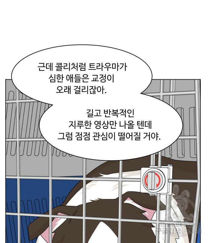 개를 낳았다 시즌2 140화 32