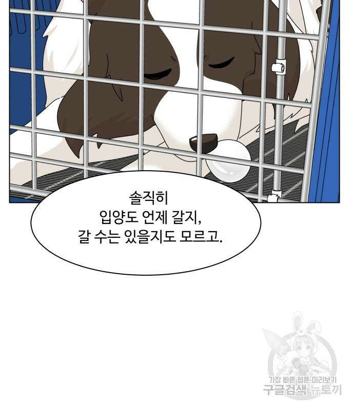 개를 낳았다 시즌2 140화 33