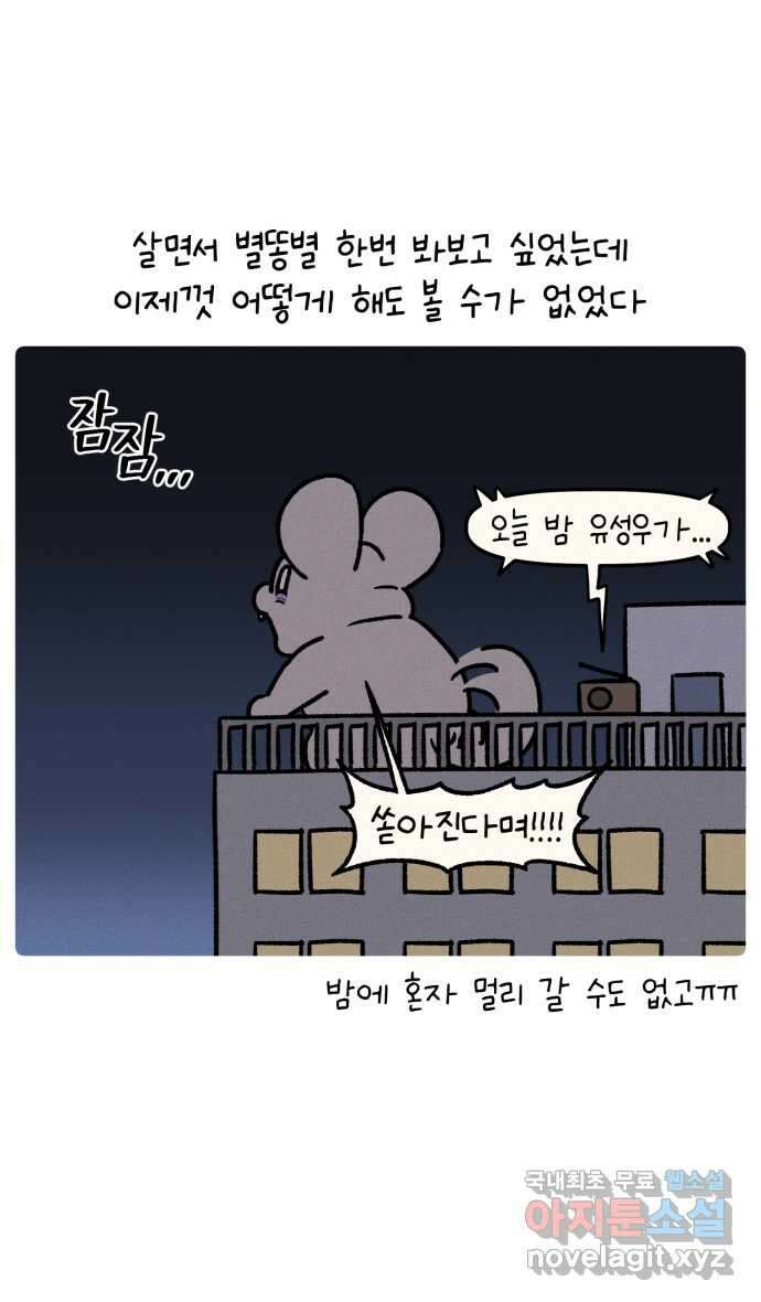 안녕, 나의 수집 57. 지옥캠프 추억 조각 (5) 그리고 가랜드 5