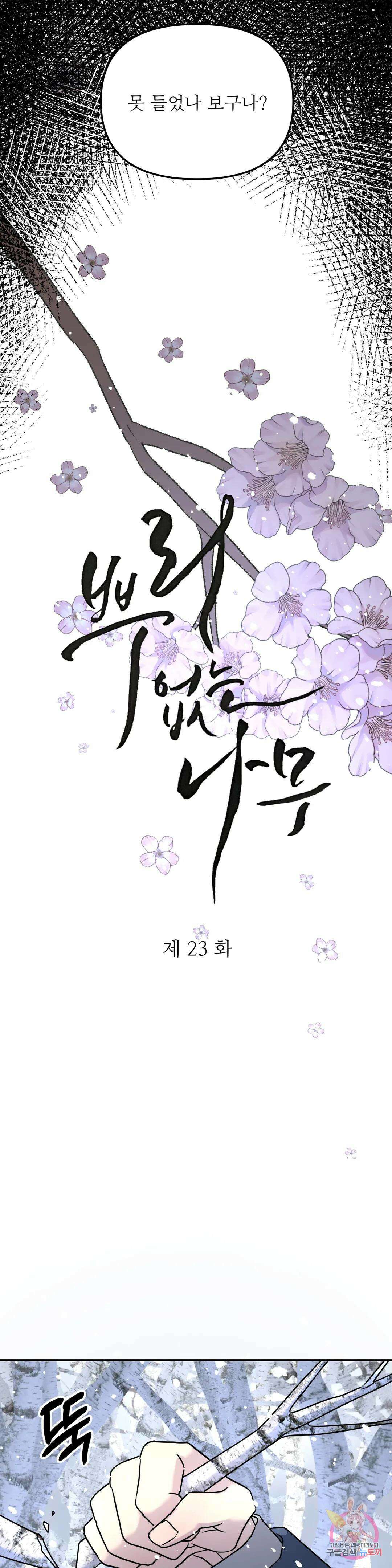 뿌리 없는 나무 23화 7