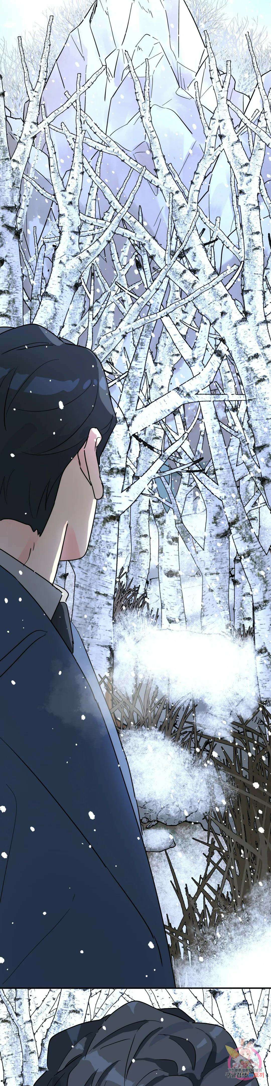 뿌리 없는 나무 23화 12