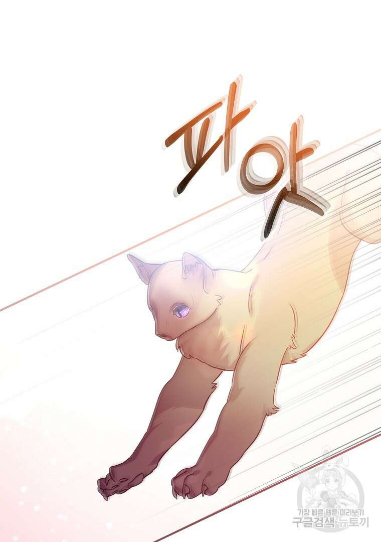 꽃에게 복종하세요 10화 4