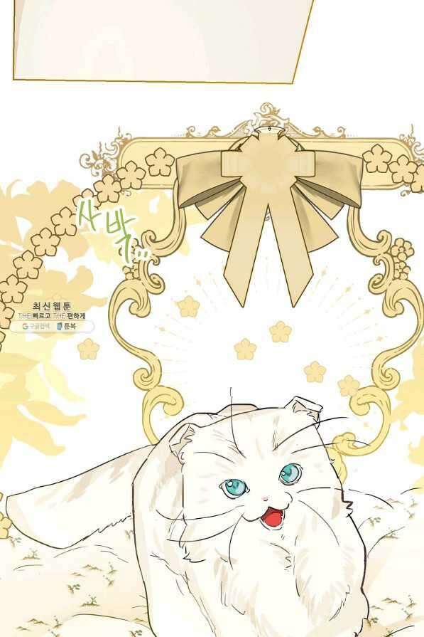 백작가의 사생아가 결혼하면 40화 12