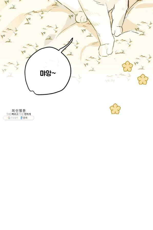 백작가의 사생아가 결혼하면 40화 13