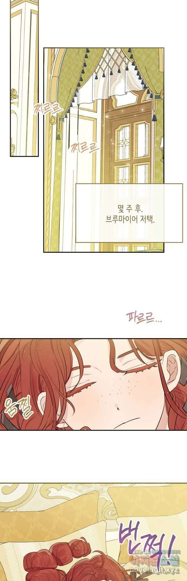 백작가의 사생아가 결혼하면 48화 6