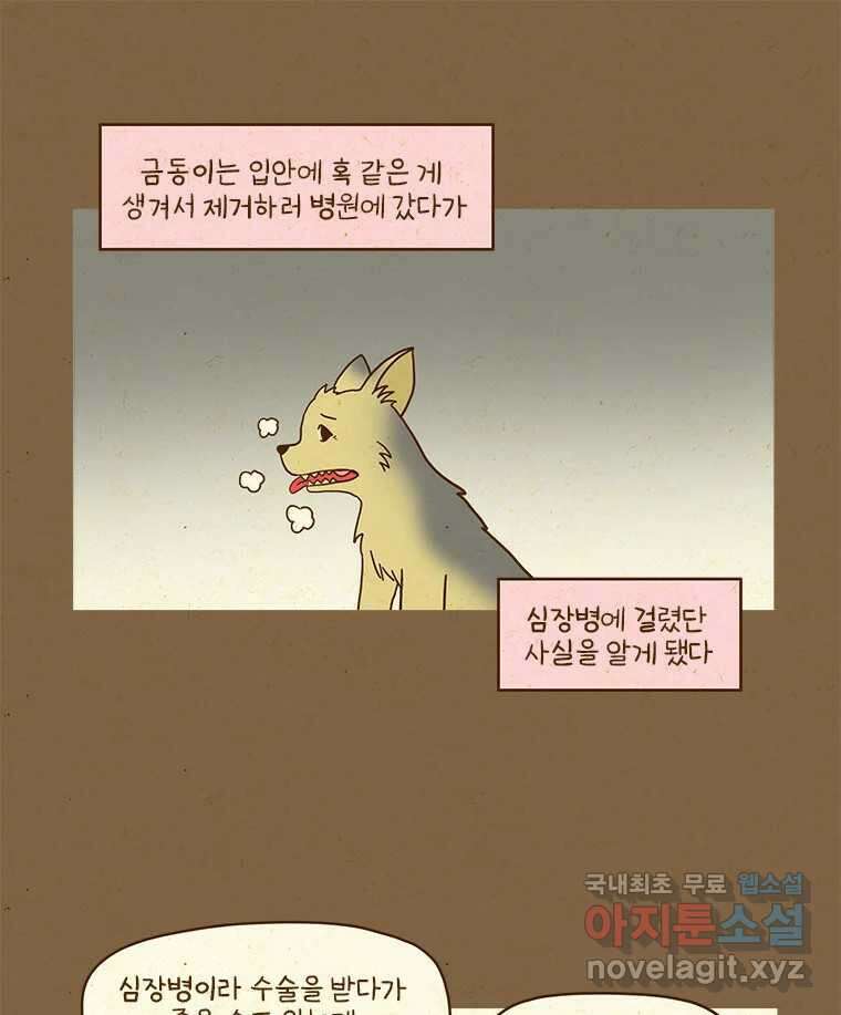 반지하셋방 322화 여기서 더 키운다고? 8