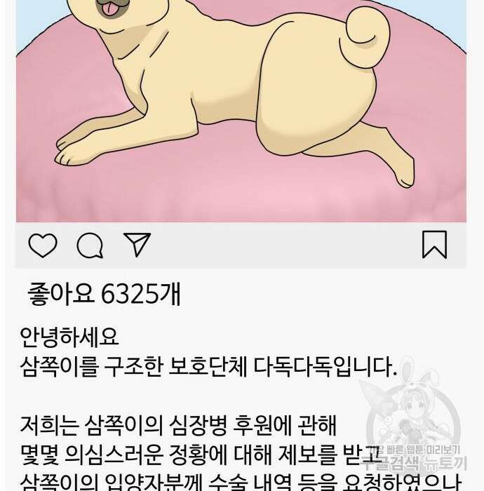개를 낳았다 시즌2 148화 3