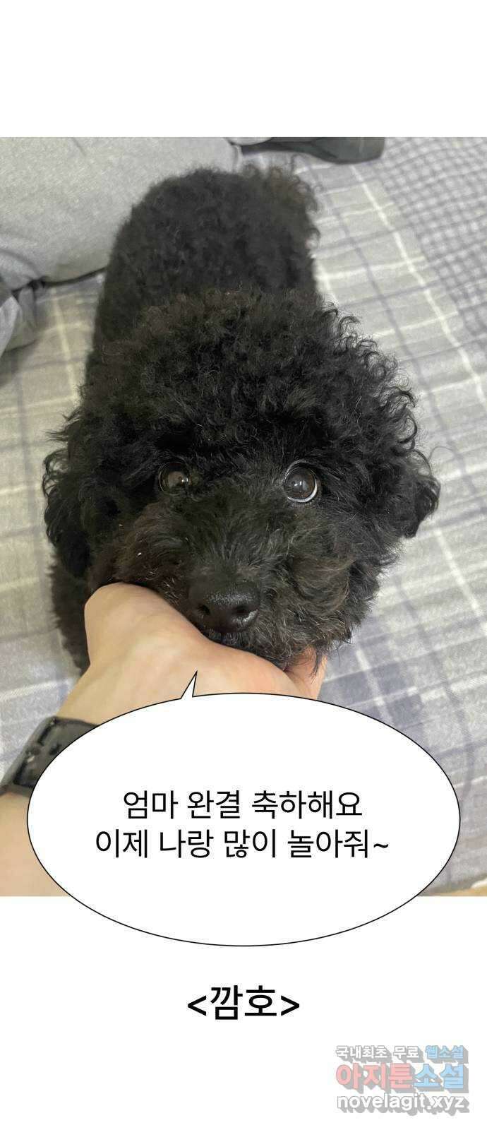 우리 은하 후기 61