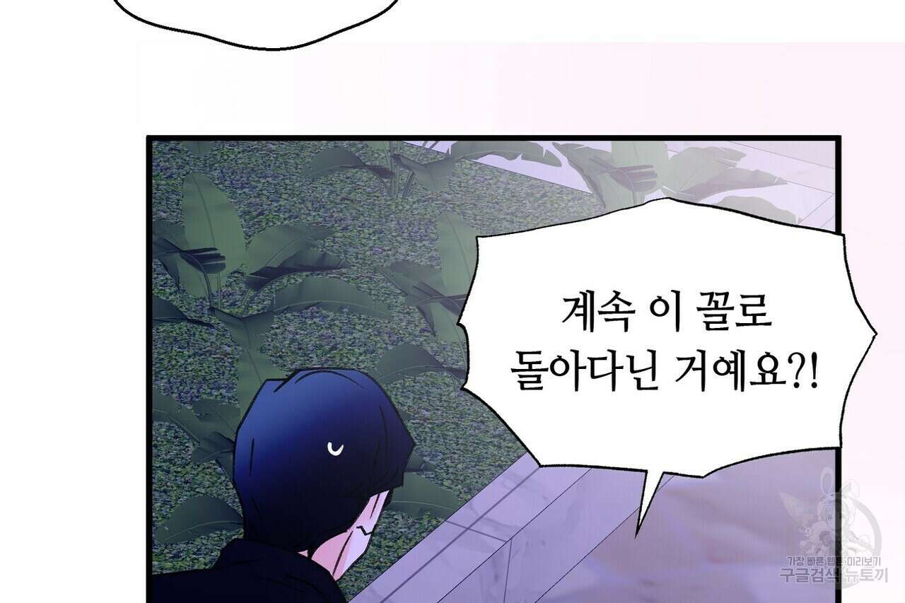 백일야화 43화 20