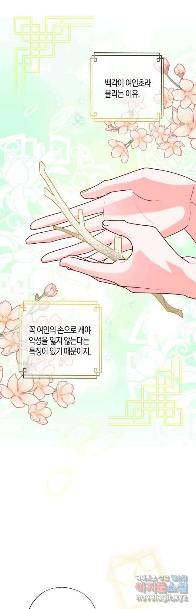 착하게 살고 싶었답니다 25화 8