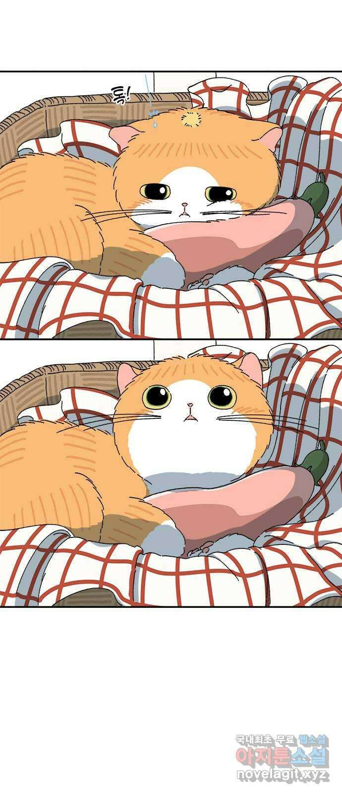 고양이 타타 16화 23