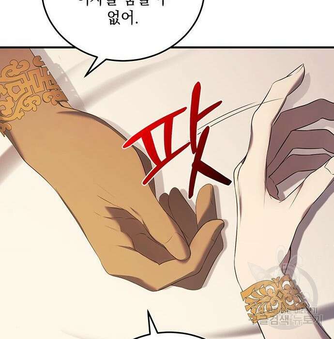 황후를 훔친 이는 누구인가 16화 108