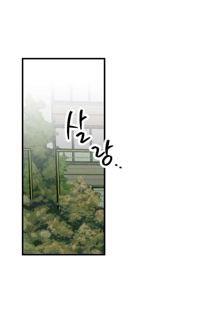 청의 마운드 10화 16