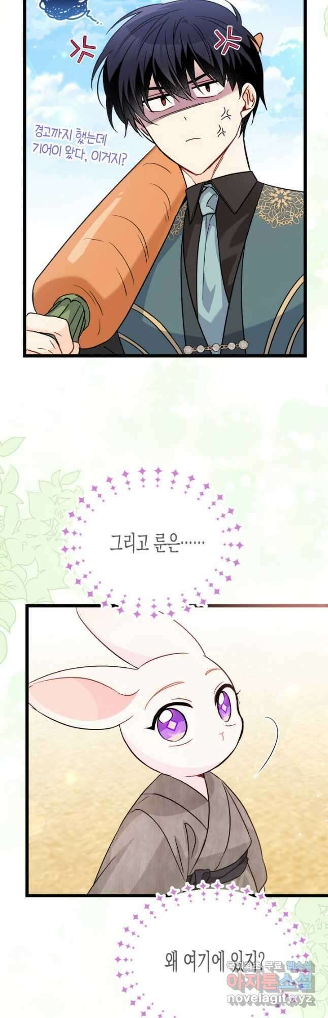 토끼와 흑표범의 공생관계 99화 11