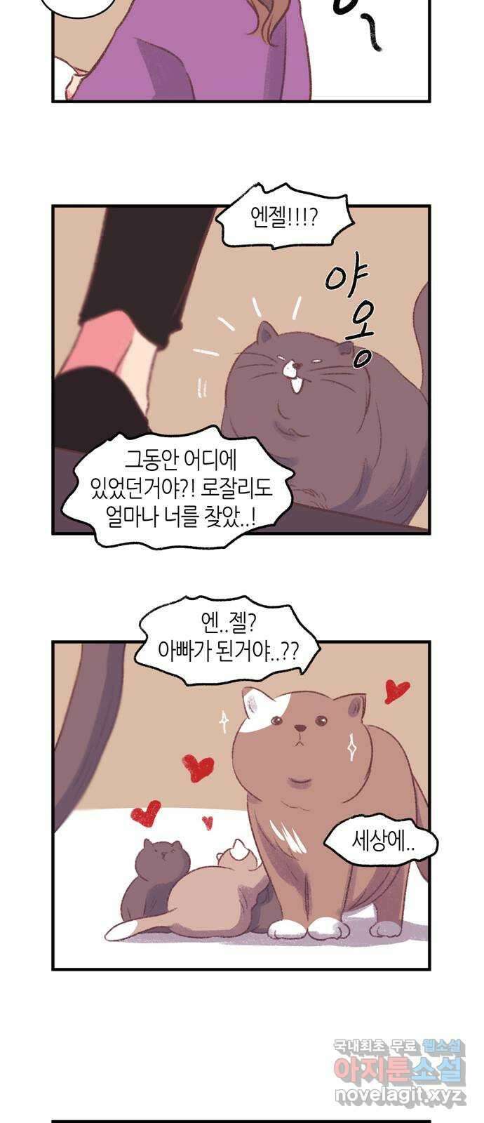 온실 속 화초 후기 11
