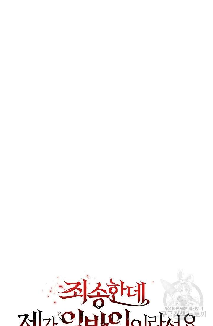 죄송한데 제가 일반인이라서요 13화 190