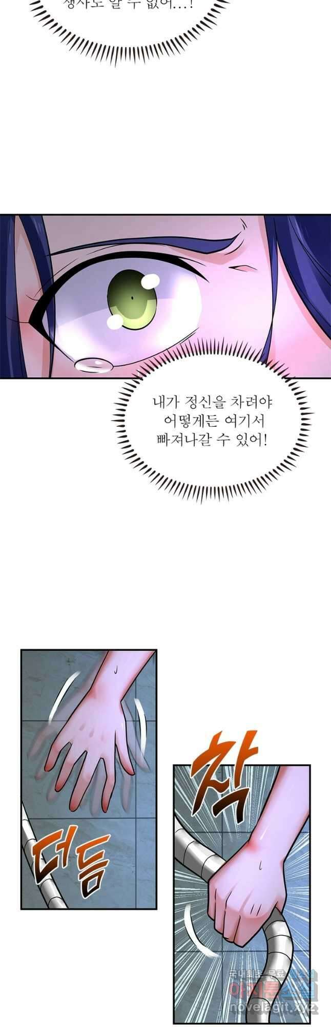 링 오브 가디언 312화 27