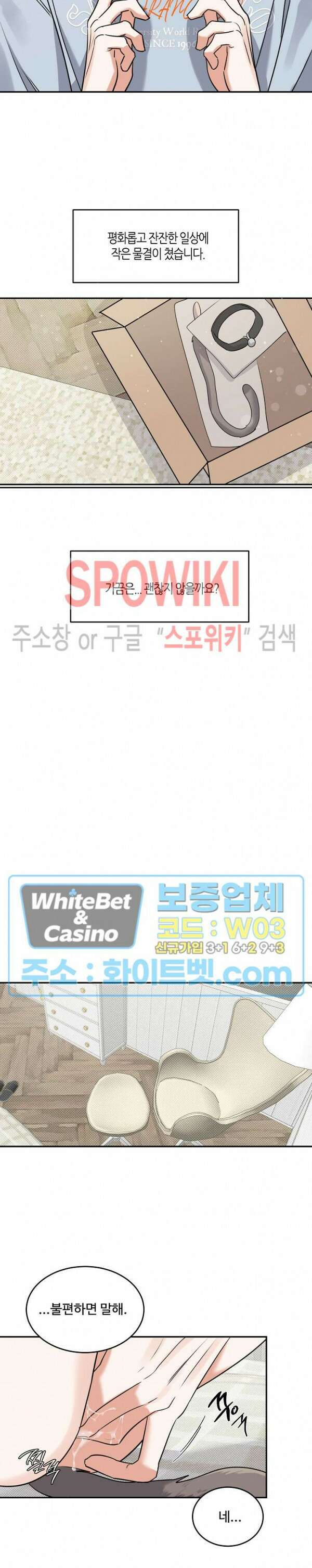 밤의 해 에필로그 완결 17