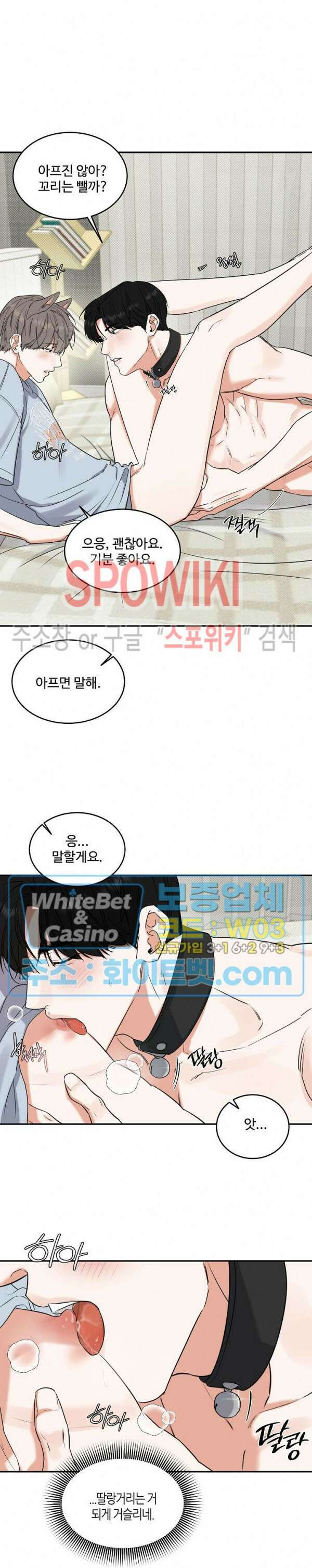 밤의 해 에필로그 완결 18