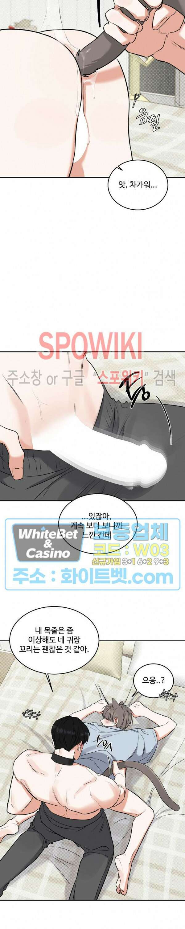 밤의 해 에필로그 완결 22