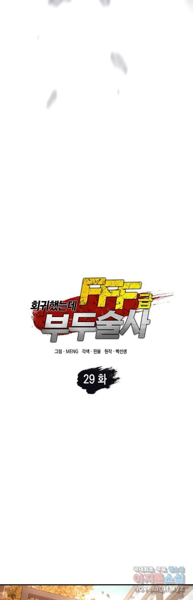 회귀했는데 FFF급 부두술사 29화 10