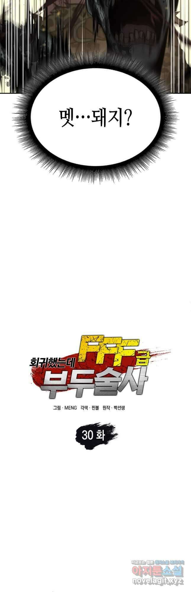 회귀했는데 FFF급 부두술사 30화 11