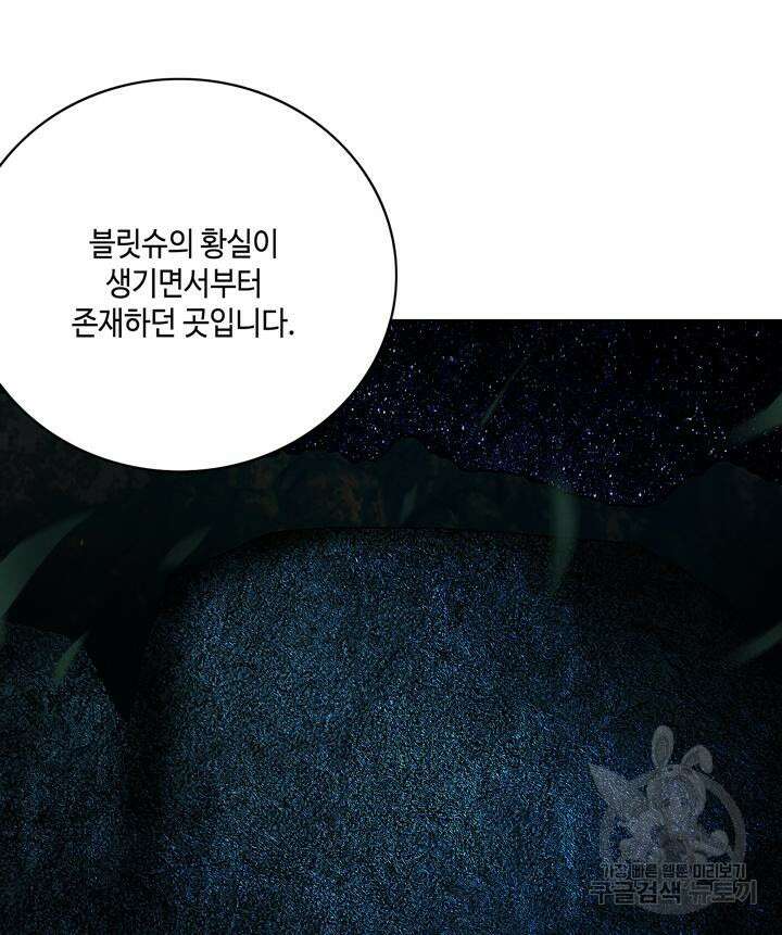 폭군의 누나로 산다는 것은 155화 5