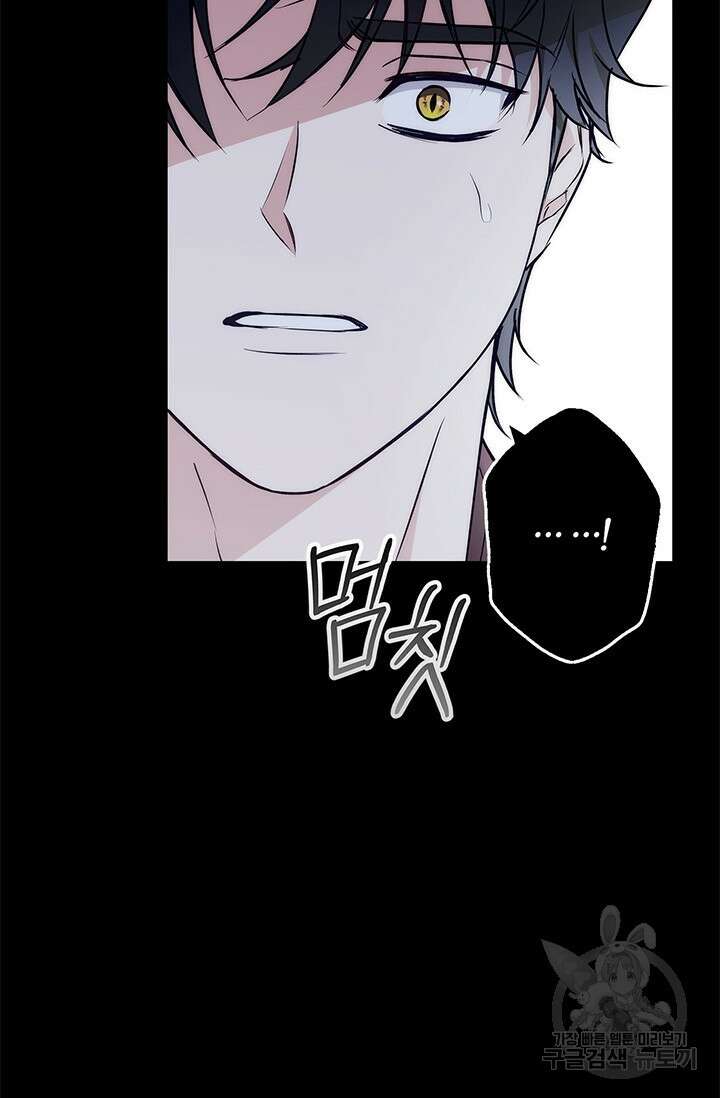 윈터 울프 39화 21