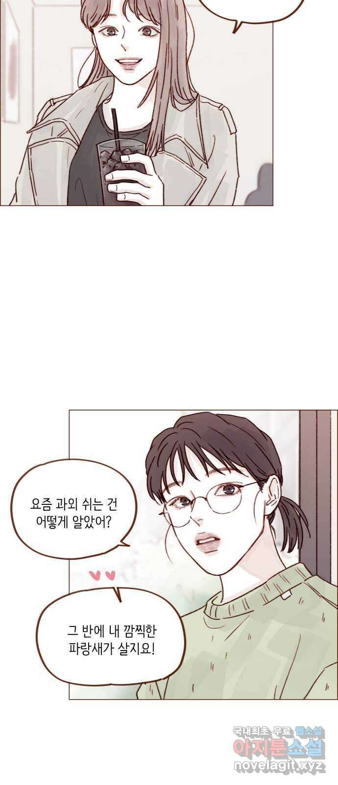 홍시는 날 좋아해! 248화 : 소개팅 룰 알고 있어 19