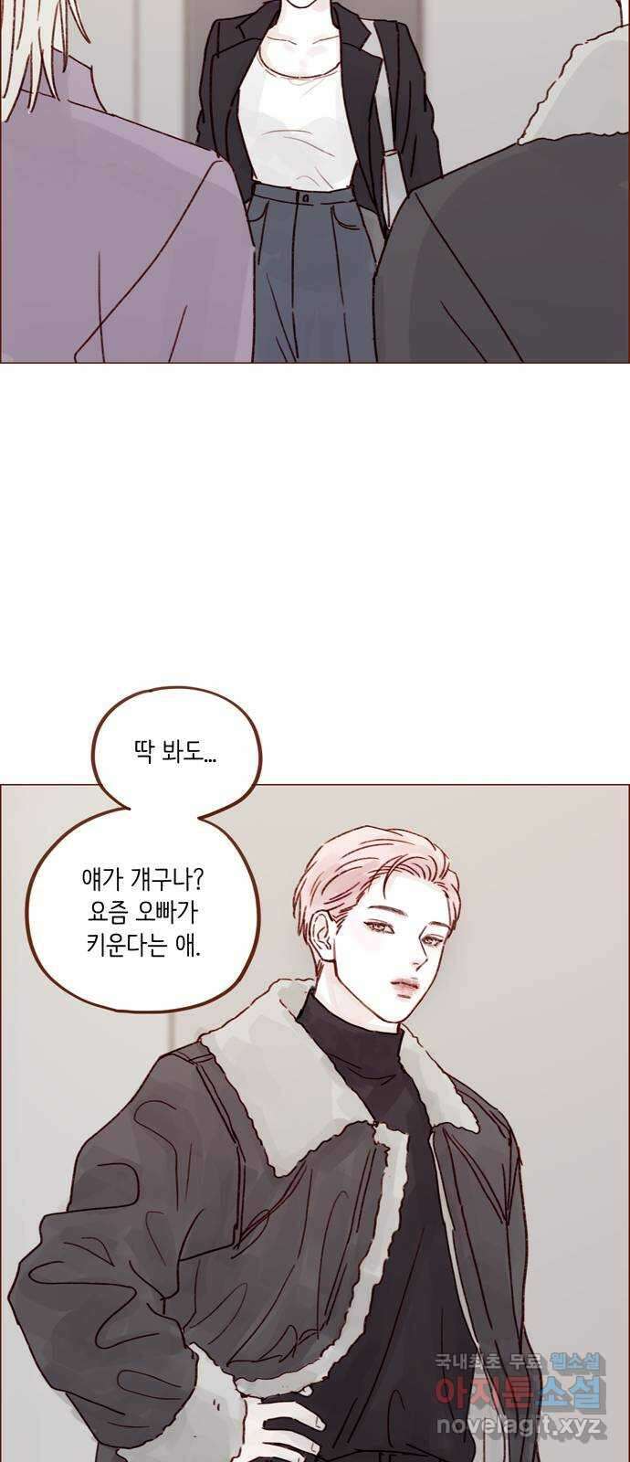 홍시는 날 좋아해! 248화 : 소개팅 룰 알고 있어 33