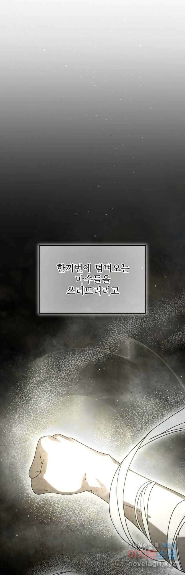 뉴비가 너무 강함 65화 5