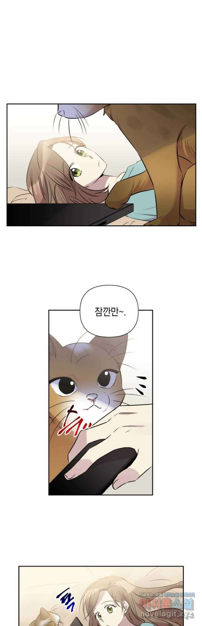 고서점 로망스 64화 3