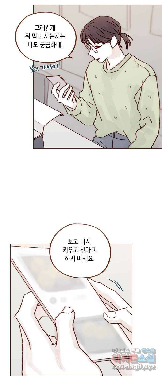 홍시는 날 좋아해! 249화 : 얼굴 이상의 매력이라 30
