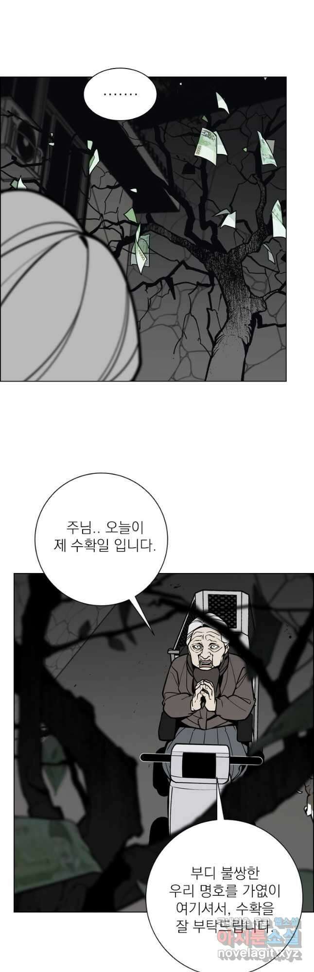 돈나무 8화 6