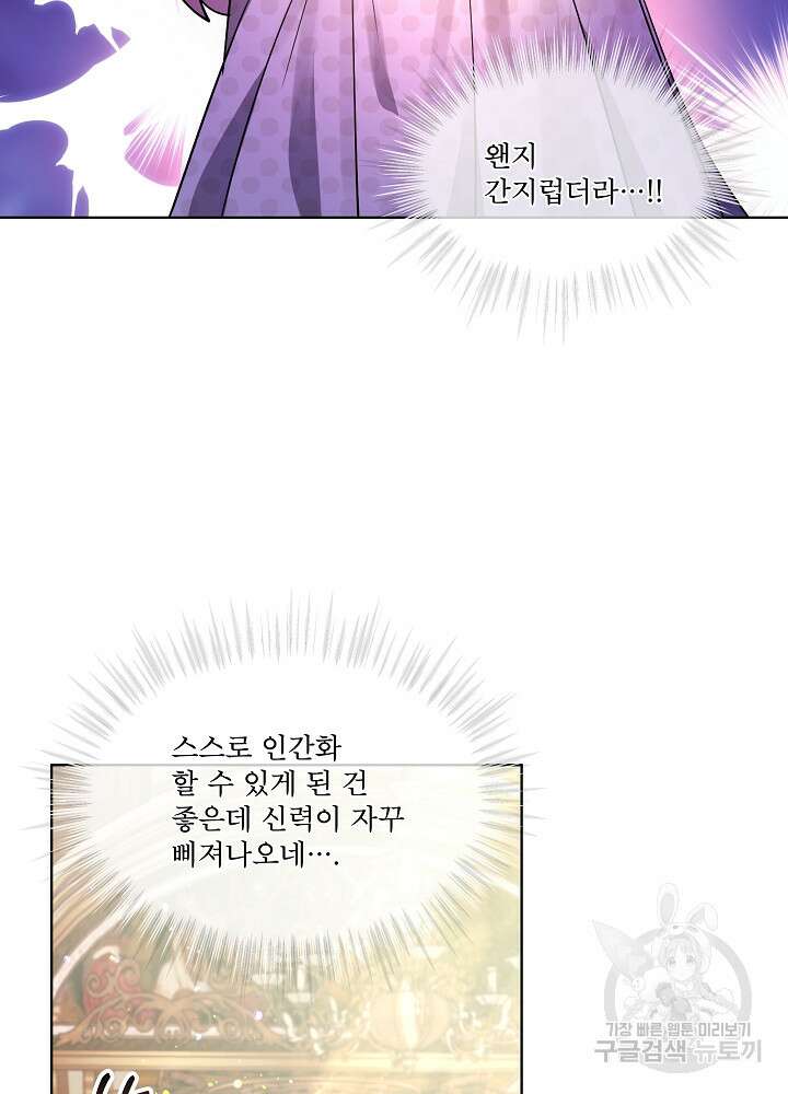아기 신수로 환생했습니다 35화 42